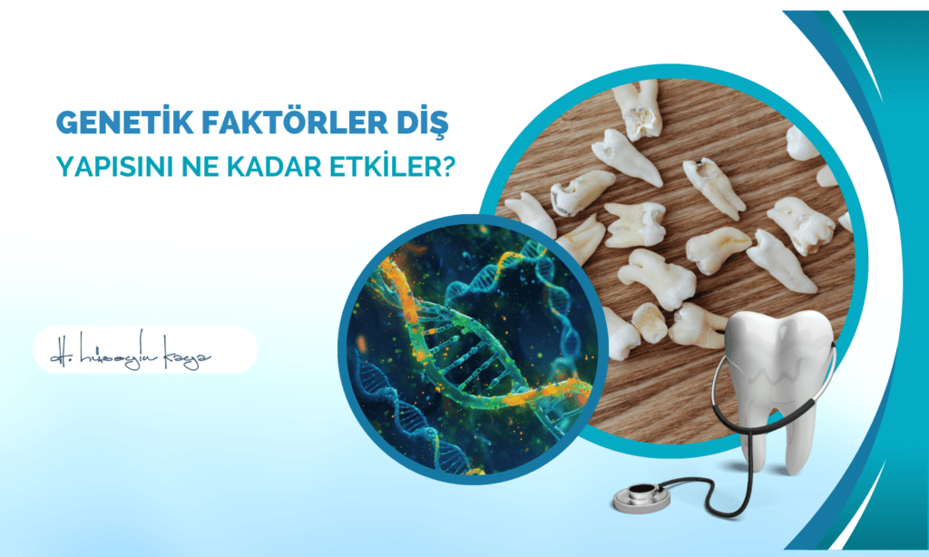 Genetik Faktörler Diş Yapısını Ne Kadar Etkiler?
